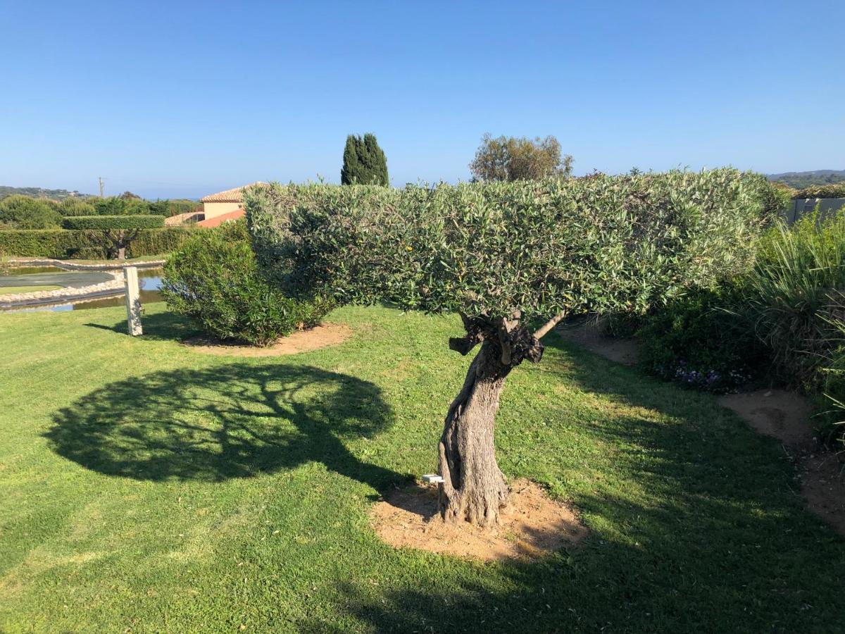 Villa Alba Saint-Tropez Exterior foto